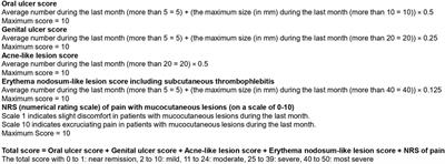 A proposal of a comprehensive mucocutaneous activity index for Behçet’s disease